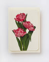 Pink Tulips Card