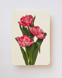 Pink Tulips Card
