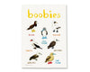 Boobies Art Print - A4