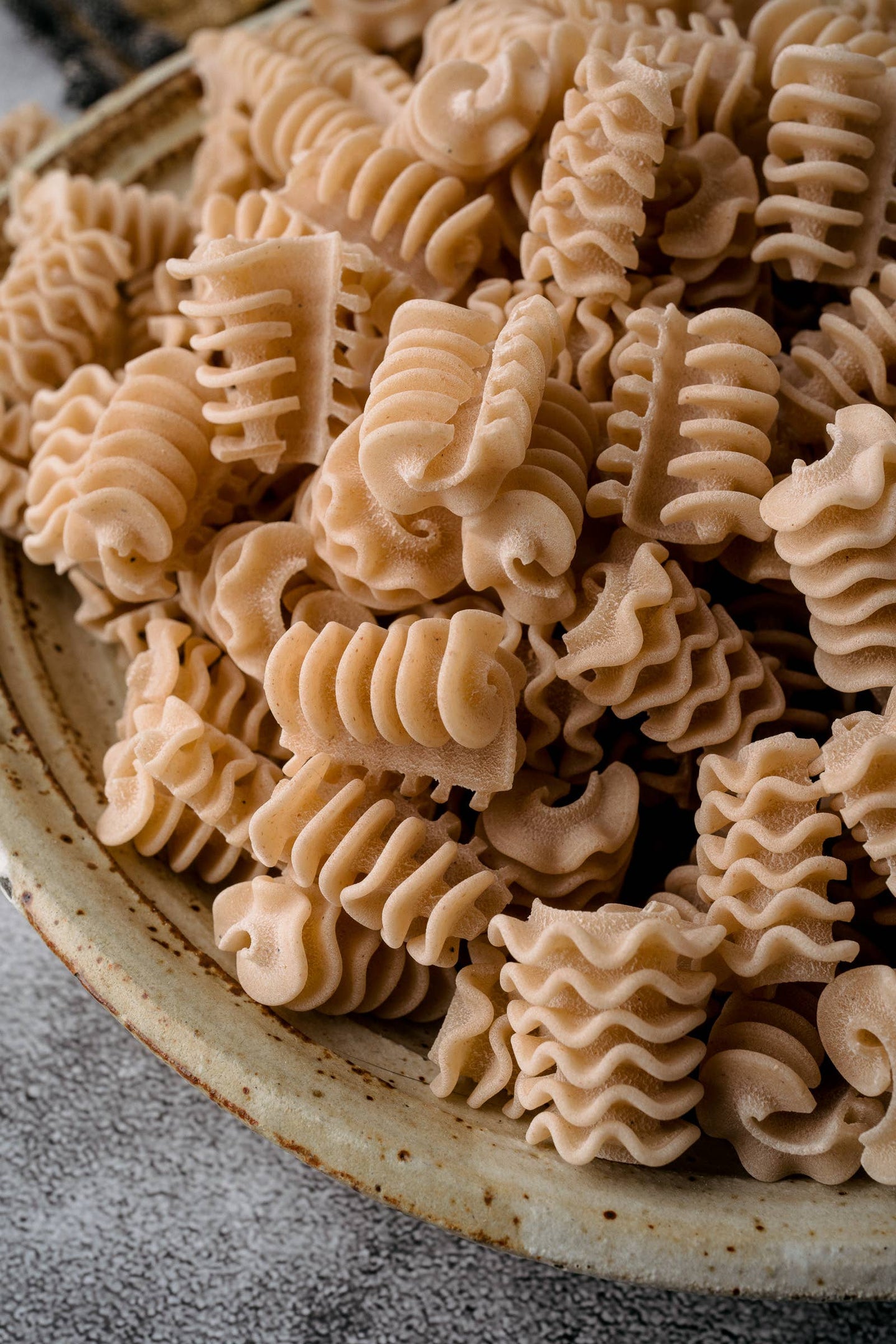 Northern Pasta Co. Radiatori