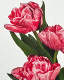 Pink Tulips Card