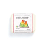 Rainbow Love Bird Eggs