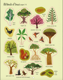 First Sticker Book: Trees