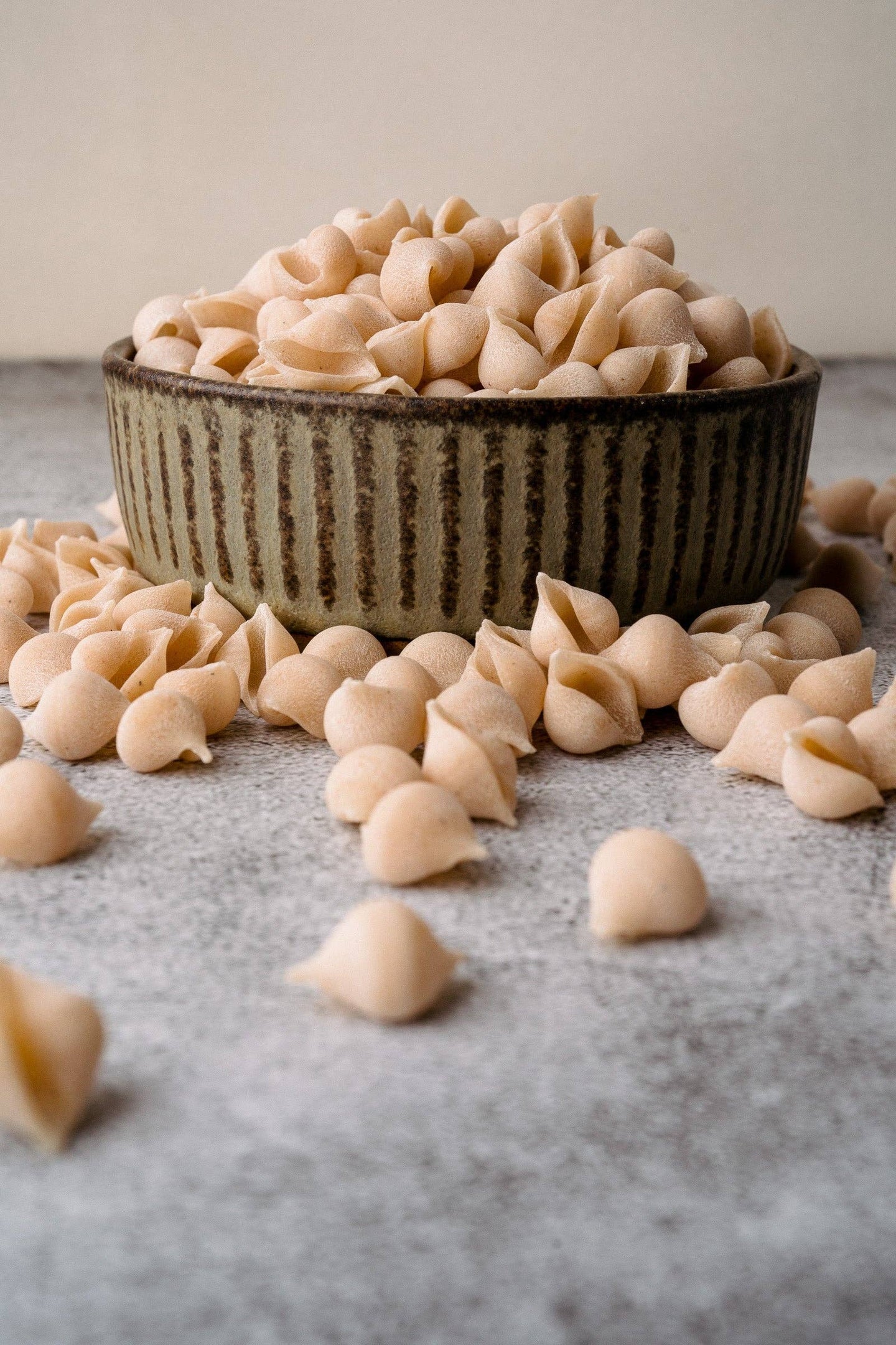 Northern Pasta Co. Conchigliette