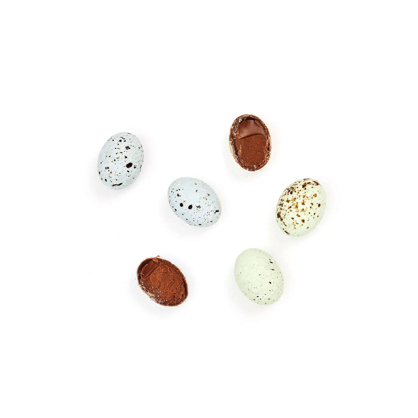 Rainbow Love Bird Eggs