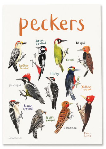 Peckers Art Print - A4