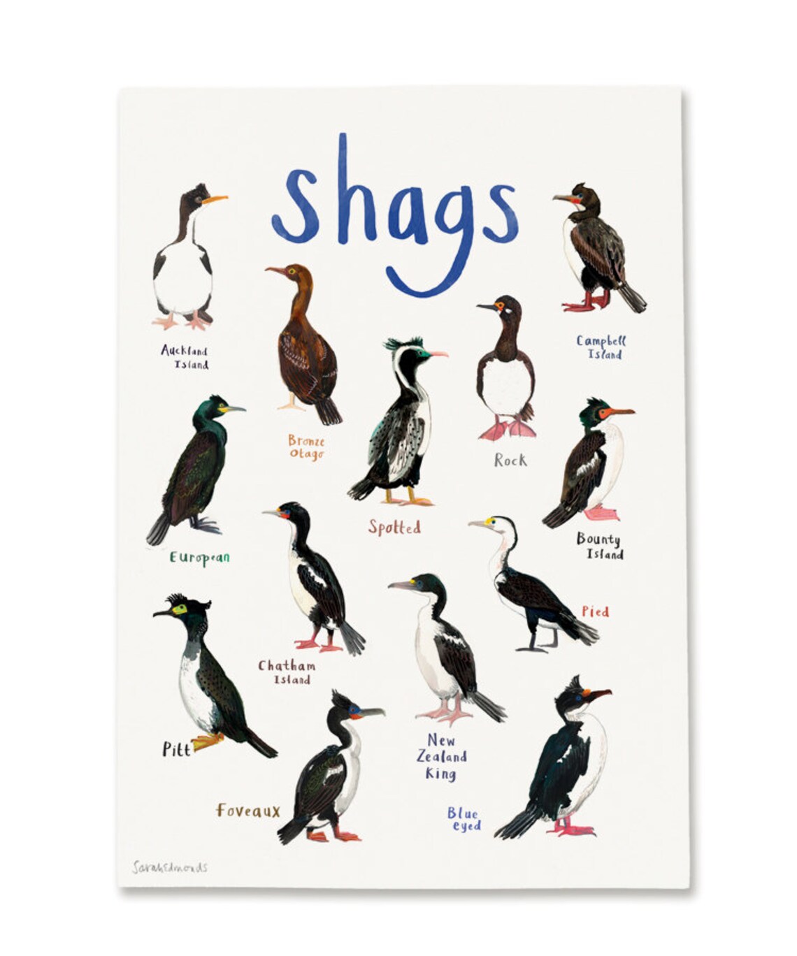 Sarah Edmonds A3 Print - Shags