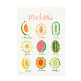 Sarah Edmonds A4 Print - Melons