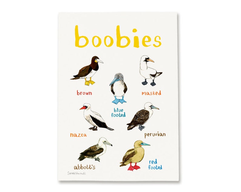 Sarah Edmonds A4 Print - Boobies